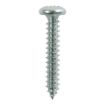 Picture of No. 6 x 1/2" PZ2 Self Tapping Screw (20)
00612CPAZP