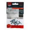 Picture of No. 10 x 3/4" PZ2 Self Tapping Screw (10)
01034CPAZP