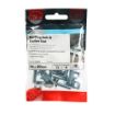 Picture of M6 x 20mm Roofing Bolts & Square Nuts - BZP (12)
0620RBP