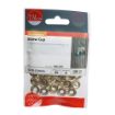 Picture of 10mm Brass Surface Screw Cups (50)
10BCUPP