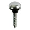 Picture of 4mm x 30mm PZ2 Chrome Mirror Screw Dome (10)
08114CMIRP