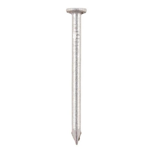 Close-up image of a single galvanised round wire nail with a flat head and pointed tip, shown against a white background.