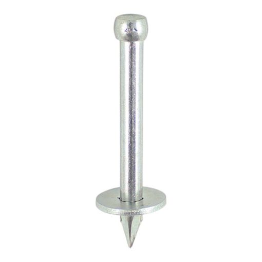 Picture of 3.70 x 30mm Washered Masonry Nails (100)
WMN30