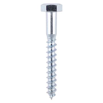Picture of 8.0 x 100mm Coach Screws DIN 571 - BZP (5)
08100CSCP