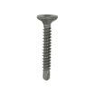 Picture of 4.2mm x 32mm Exterior PLUS Cement Board Screws - Self Drilling for fixing to steel (200)
217154