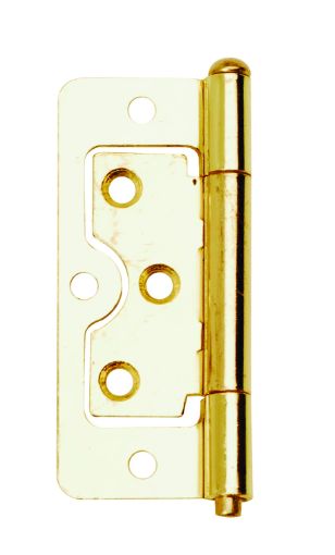 Picture of 50mm Flush Hinges EB (2)
DX40506