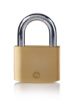 Picture of Yale 60mm Brass Padlock
Y110B/60/132/1