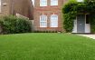 Picture of 36mm Fashion Artificial Grass 4m x 25m
(Price/m2)