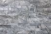 Picture of Contemporary Forest Marble Honed Z-Stone 600mm x 150mm Long Corner (Box of 10)
TWCFMSHONEDLC