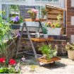 Picture of Alderley Large Plant Ladder  
ALDPLANTL