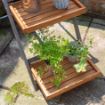 Picture of Alderley Large Plant Ladder  
ALDPLANTL