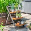 Picture of Alderley Small Plant Ladder 
ALDPLANTS