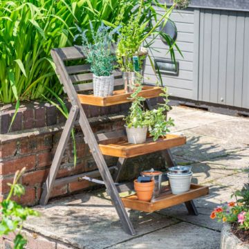 Picture of Alderley Small Plant Ladder 
ALDPLANTS