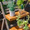 Picture of Alderley Small Plant Ladder 
ALDPLANTS