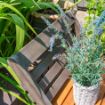 Picture of Alderley Small Plant Ladder 
ALDPLANTS
