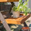 Picture of Alderley Small Plant Ladder 
ALDPLANTS