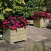Picture of Marberry Square Planter
PLLY50