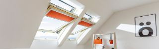 Picture of Fakro 550mm x 980mm White Painted Centre Pivot Window
FTW-V P2 02