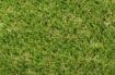 Picture of 30mm Valour Artificial Grass 4m x 25m
(Price/m2)
