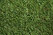 Close-up of Lido Plus 30mm artificial grass fibres, displaying the soft texture and C-shaped yarn profile for enhanced resilience and comfort