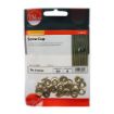 Picture of 6mm Brass Surface Screw Cups (60)
6BCUPP