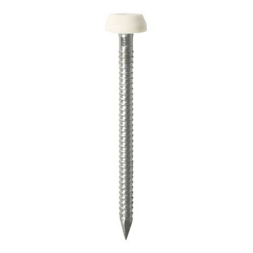 Picture of 30mm Polymer Headed Pin - White (250)
PP30W