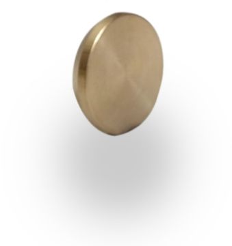 Picture of 22mm Blanking Disc
324239
