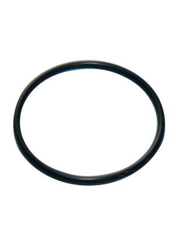 Picture of Embrass Prepack O Rings For Basin & Bath Plugs (10)
200666-PAC