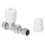 Picture of ERES 15mm Straight Manual Radiator Valve
ER-15MMSVAL