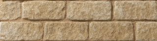 Picture of Bekstone Burford Tumbled Walling Oolite Cream 65mm x 305mm x 102mm
17160088 (309)