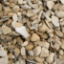 Close-up of 20mm Cerney gravel showcasing natural cream and honey tones