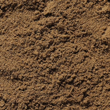 Close-up of fine-grain Holm sand showcasing its clean and consistent texture