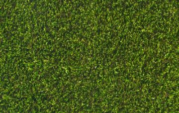 Picture of Privilege Artificial Grass