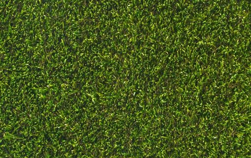 Picture of Privilege Artificial Grass