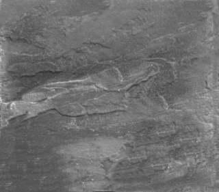 Picture of Brett Broadway Economy Riven Charcoal 450mm x 450mm